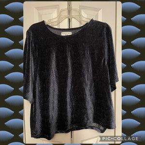 Madewell velvet top